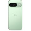 Google Pixel 9 12/128ГБ (Wintergreen)