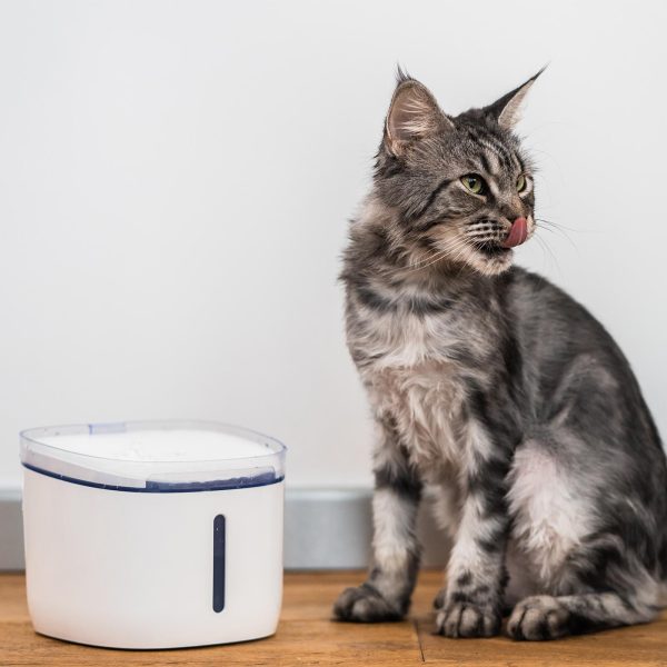 Автопоилка Xiaomi Petoneer Smart Fresco Mini Plus Fountain 1.9L  (White)