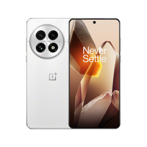 OnePlus 13 12/256Gb (Arctic Dawn)