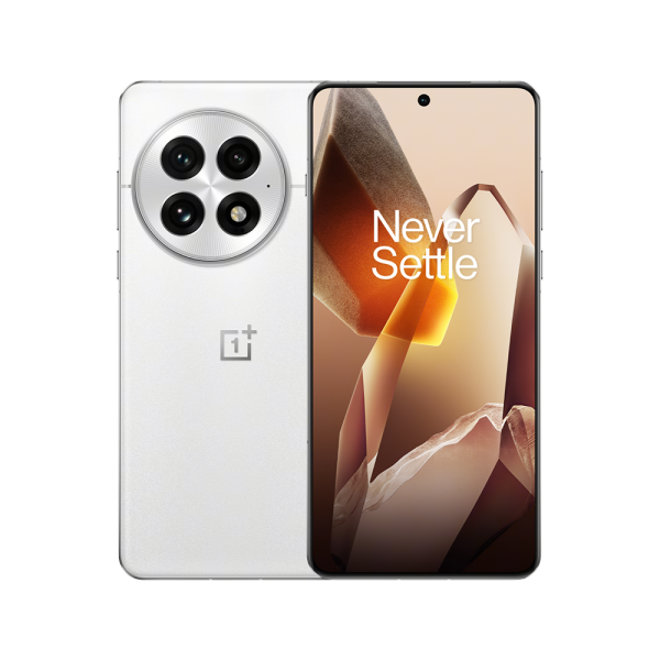 OnePlus 13 12/256Gb (Arctic Dawn)