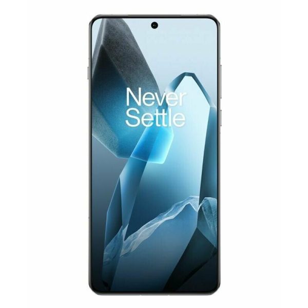 OnePlus OnePlus 13 16/512Gb (Midnight Ocean)